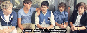 ... Styles One Direction Zayn Malik liam payne Niall Horan mine anchorman
