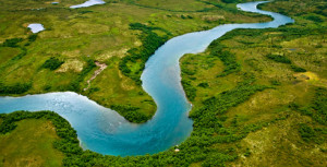 Like swimming in lakes, rivers, or oceans? Well good for you, I’m ...