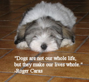 KC's Dog Ecards - Dog Quotes