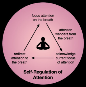 self-regulation-of-attention