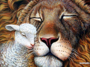 lion-and-lamb-best-friends-fahad-photographer.jpg