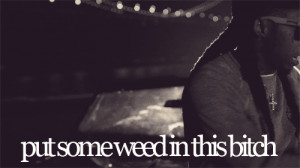 Lil Wayne Quotes About Weed