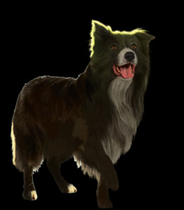 Survivors by Erin Hunter : What Type of Dog Are You?