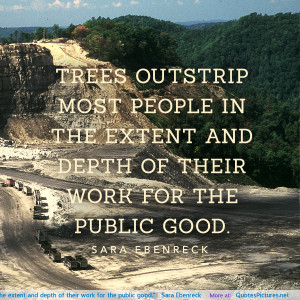 Trees outstrip most people in the extent and depth of their work for ...