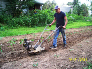 Garden cultivating the old fashioned way
