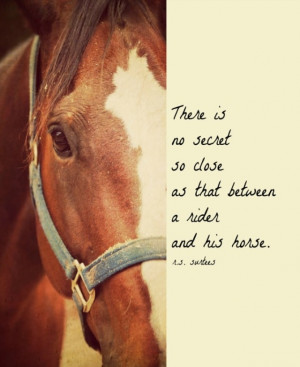 horse #rider #bond #love #friendship