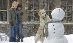 Movie Dogs marley and me