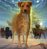survivors by: erin hunter - Survivor Dogs Wiki