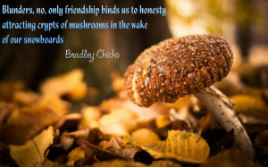 ... crypts of mushrooms in the wake of our snowboards.” ~ Bradley Chicho
