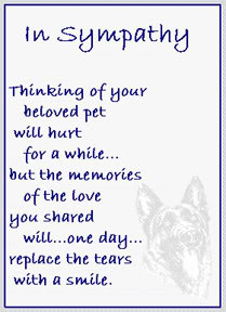 Pet Memorial Sayings Quotes http://www.sympathy-sayings.com/pet ...