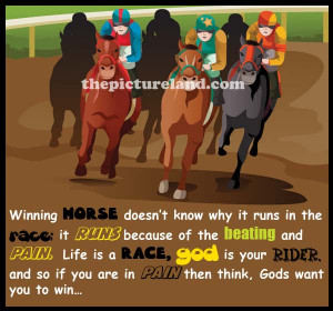 Wining Horse Pictures And Inspirational Sayings