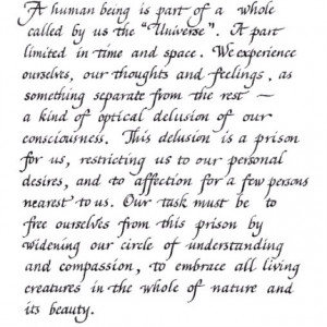 Albert Einstein Quotes