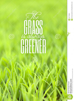 Green grass with typography quote about the grass always being greener ...