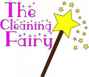 The Cleaning Fairy