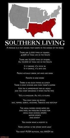 funny southern sayings - Google Search