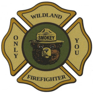 Smokey Bear Wildland Firefighter 3M Scotchlite by SmokeysHouse2, $11 ...