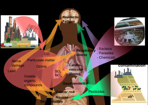 Effects of Air Pollution On Human Health