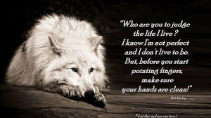 Wolves Hidden Beauties ×♥×