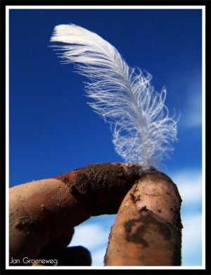 angel feather