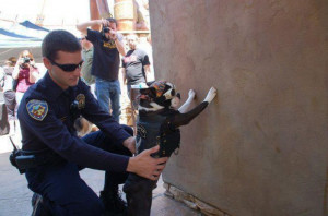 police-dog-getting-frisked-cops-13232816232.jpg