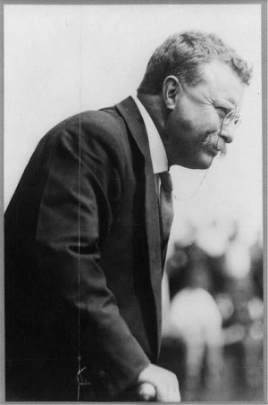 Role of Government_Impact