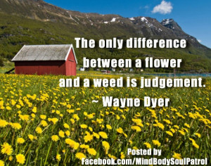 ... only difference between a flower and a weed is judgement. ~ Wayne Dyer
