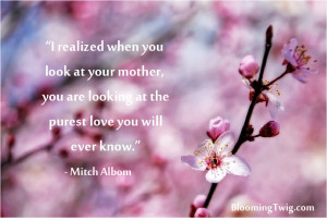 ... are looking at the purest love you will ever know.” – Mitch Albom