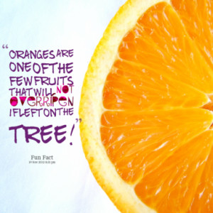 Oranges are one of the few fruits that will not overripen if left on ...