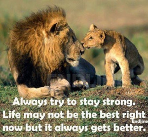 ... life quotes quotes animals quote life quote strength meaningful quotes