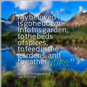 Quotes Picture: my beloved is gone down into his garden, to the beds ...