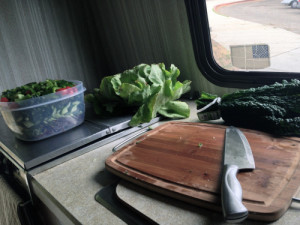 diving bell. Through its port holes I watch rich women in Lululemon ...