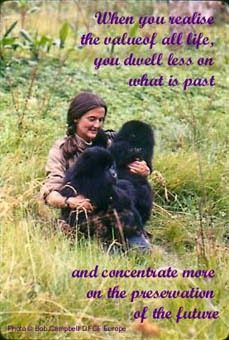 Quotes by Dian Fossey