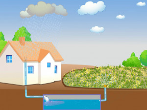 What is Water Harvesting?