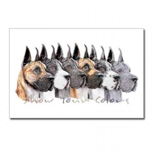 ... > Art Postcards > Great Dane Group Show Colors Postcards (Package of