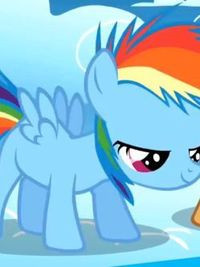 The Pooh About Life My Little Pony Rainbow Dash Flying