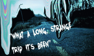 Follow for more trippy gifs and psychedelic art: