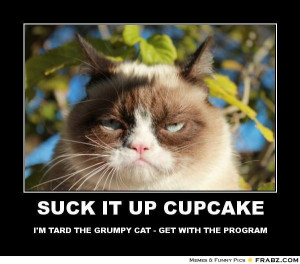 Grumpy Cat Pictures With Captions Tard the grumpy cat - get