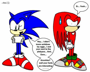 Sonic the Hedgehog lol