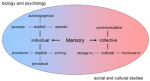 Overview of the forms and functions of memory in the sciences