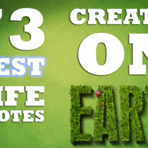 73 BEST Life Quotes Created on Earth Life Coach Code