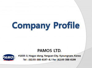 Company profile covers PSD source file