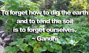 Nature quote from Mohandas Gandhi