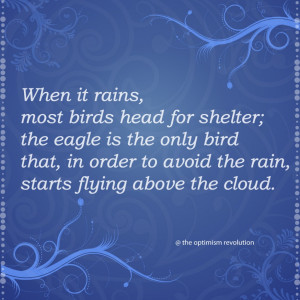 ... Bird That, In Order To Avoid The Rain, Starts Flying Above The Cloud