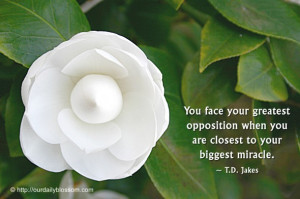 You face your greatest opposition when you are closest to your biggest ...