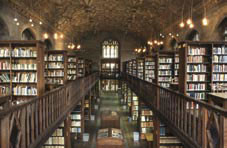 view inside Earth Sciences Library