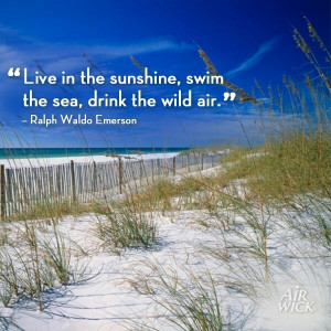 Pinned by Cheri Roster