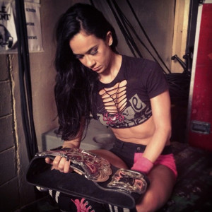 AJ Lee Defeated Kaitlyn to Win Divas Championship