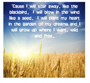 Sara Evan - Born to Fly - song lyrics, song quotes, songs, music ...