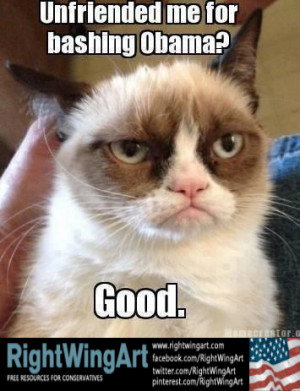 Grumpy cat bashes Obama...