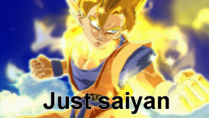 Click the image to open in full size.